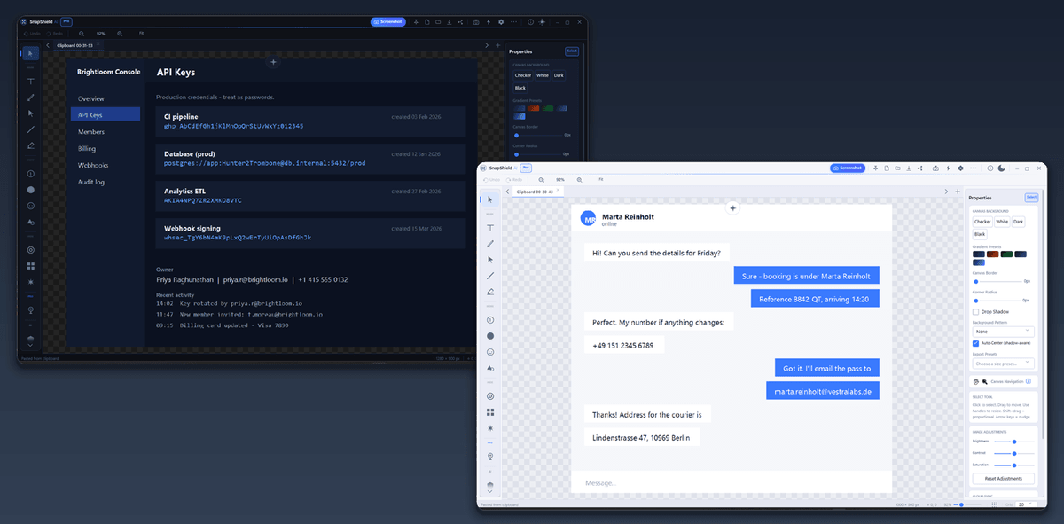 Two SnapShield AI windows side by side, one using the dark theme and one the light theme, showing the toolbar, canvas and Properties panel in both.